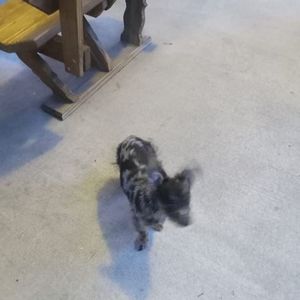 Meet your Posher, Jeff